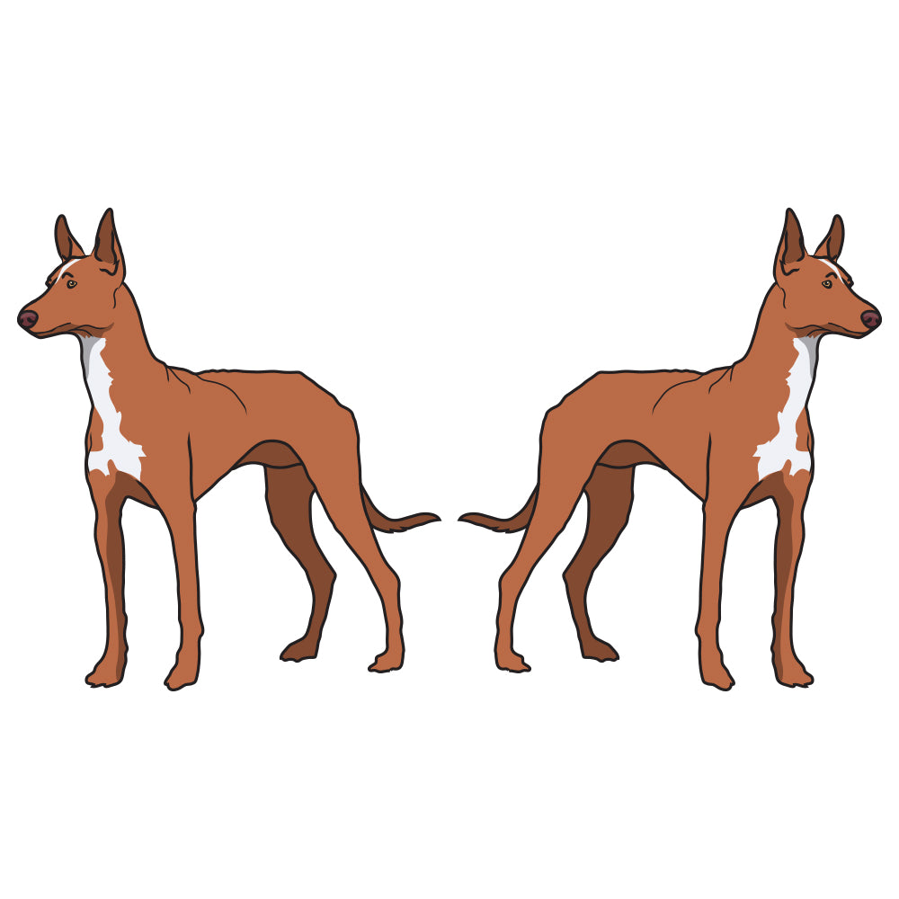 Pharaoh Hound Dog Decal