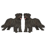 Pyrenean Shepherd Dog Decal