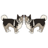 Swedish Vallhund Dog Decal