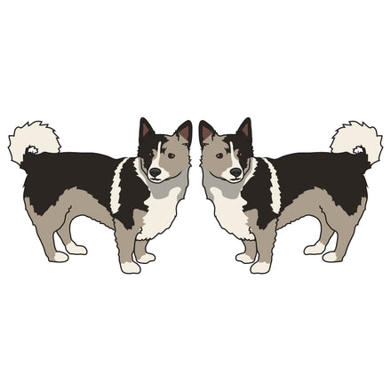 Swedish Vallhund Dog Decal