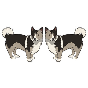 Swedish Vallhund Dog Decal