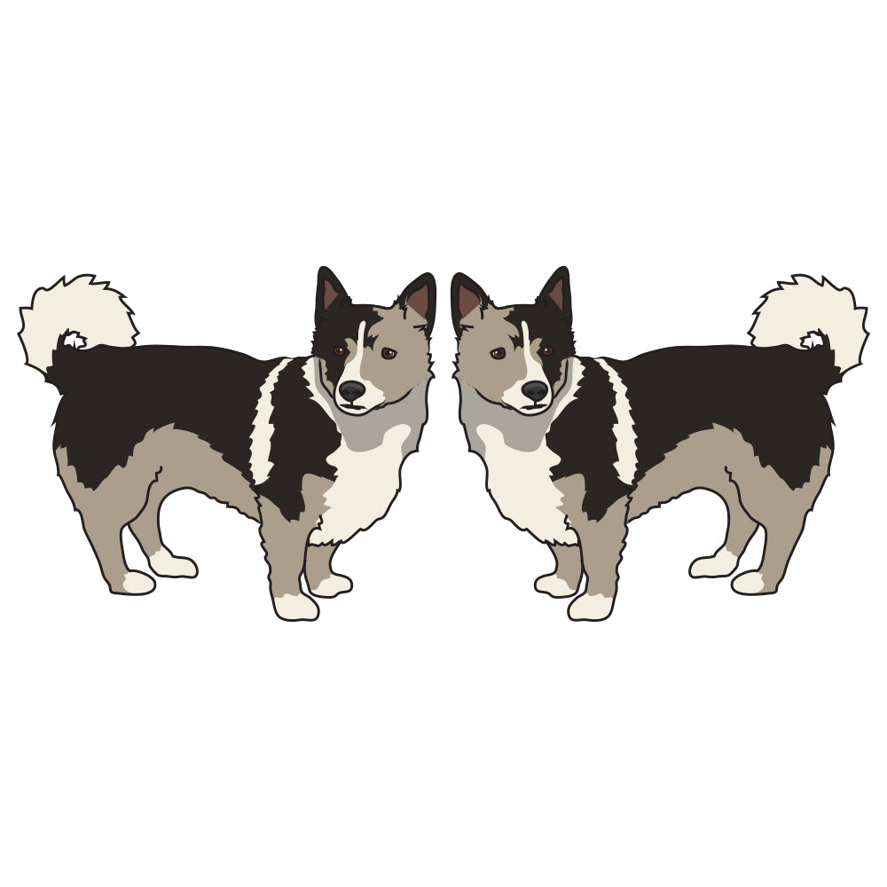 Swedish Vallhund Dog Decal