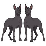 Xoloitzcuintli Dog Decal