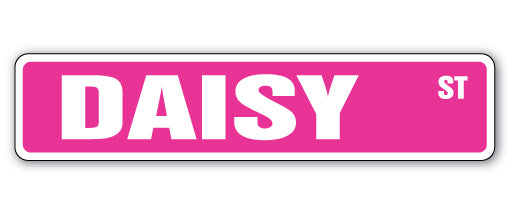 DAISY Street Sign