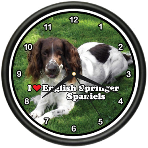 English Springer Spaniel