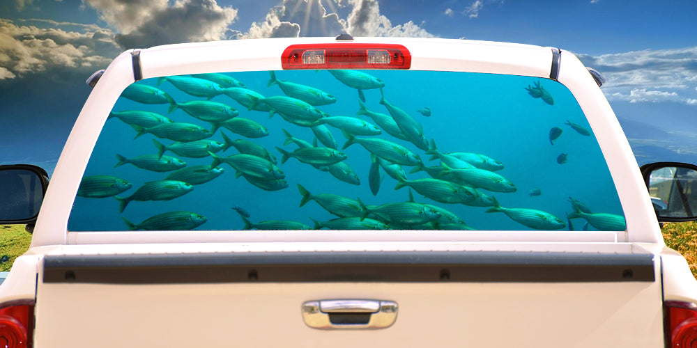 FISHING SCHOOL