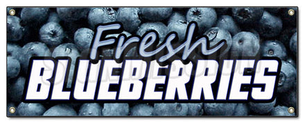Fresh Blue Berries Banner
