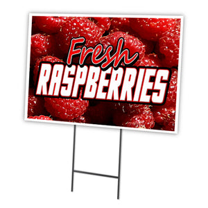 FRESH RASPBERRIES