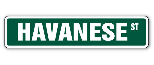 Havanese Street Vinyl Decal Sticker