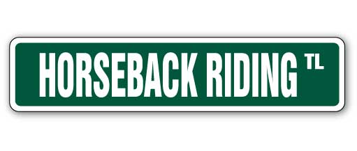 Horseback Riding Street Vinyl Decal Sticker