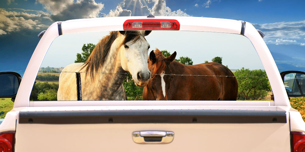 HORSE FRIENDS