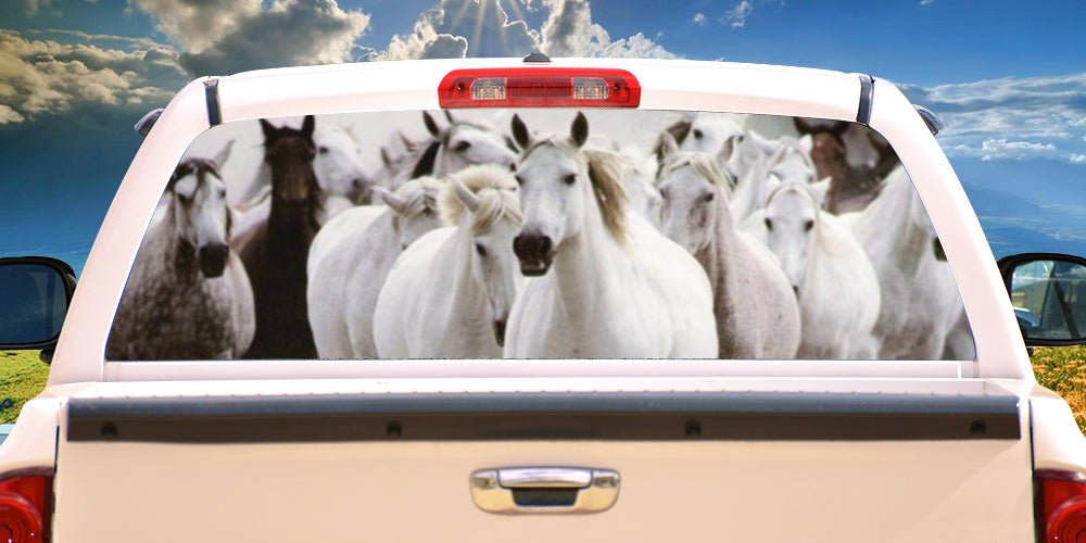 HORSES