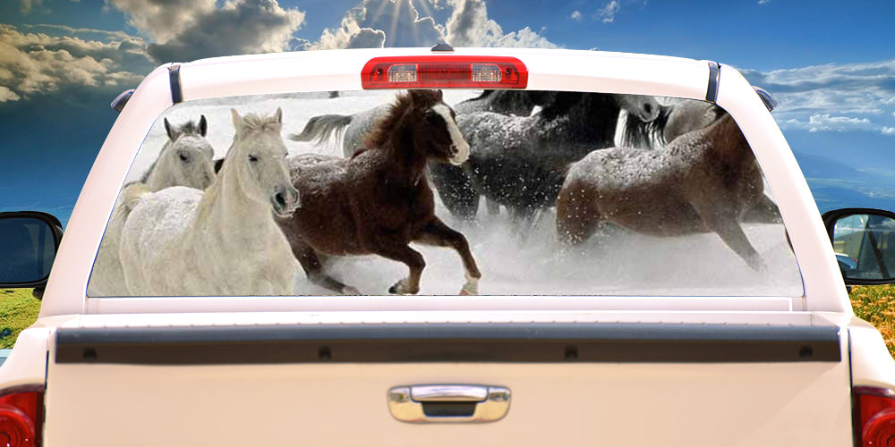HORSES 1