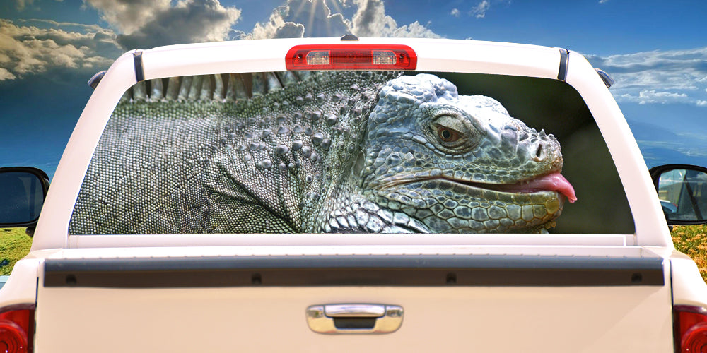 IGUANA