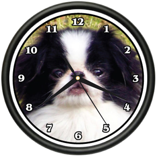 Japanese Chin