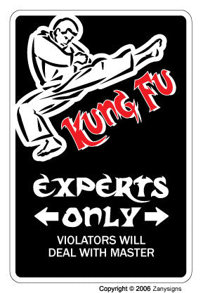 Kung Fu Vinyl Decal Sticker