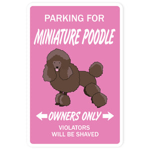 Minature Poodle Street Vinyl Decal Sticker