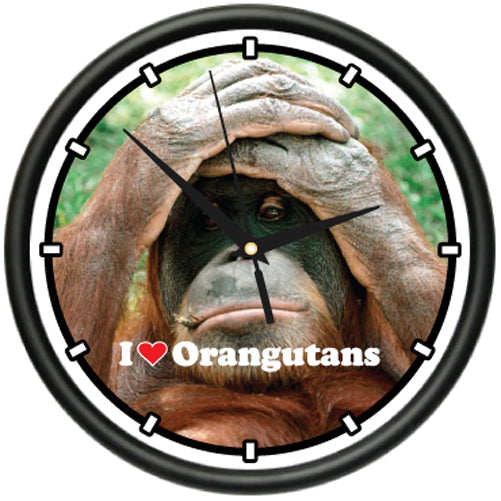Orangutan