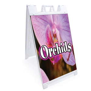 Orchids