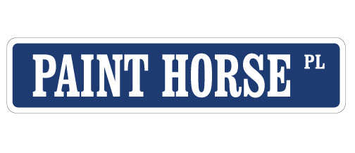 Paint Horse Street Vinyl Decal Sticker