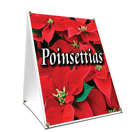 Poinsettias