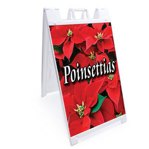 Poinsettias