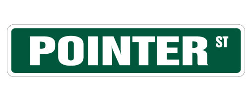 POINTER Street Sign