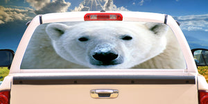 POLAR BEAR