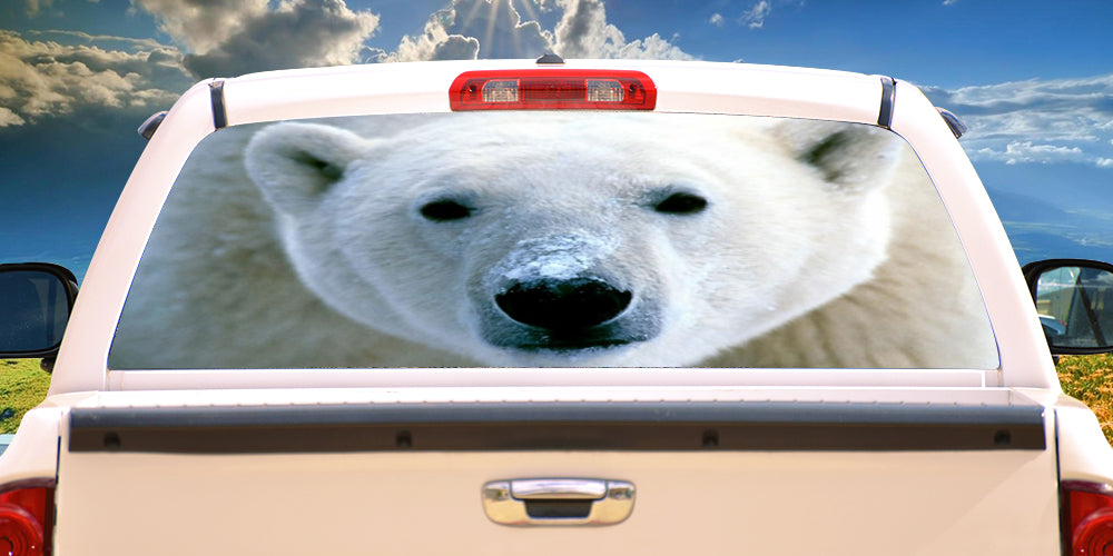 POLAR BEAR