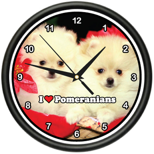 Pomeranian