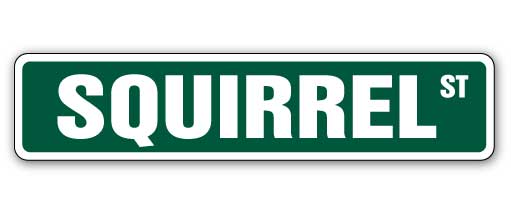 SQUIRREL Street Sign