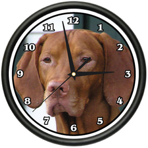 Vizsla