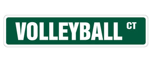 VOLLEYBALL Street Sign
