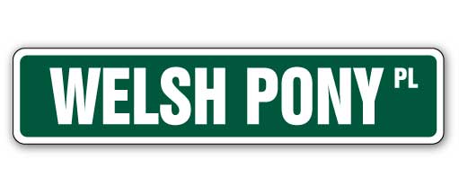 Welsh Pony Street Vinyl Decal Sticker