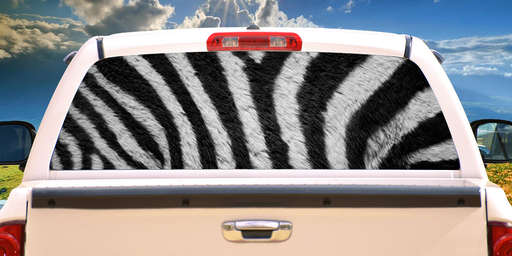 Zebra